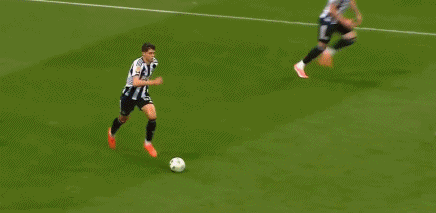 ws, gfd, id ws, gfd, id