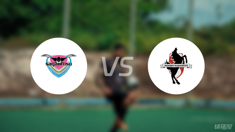 鸟栖砂岩 鸟栖砂岩