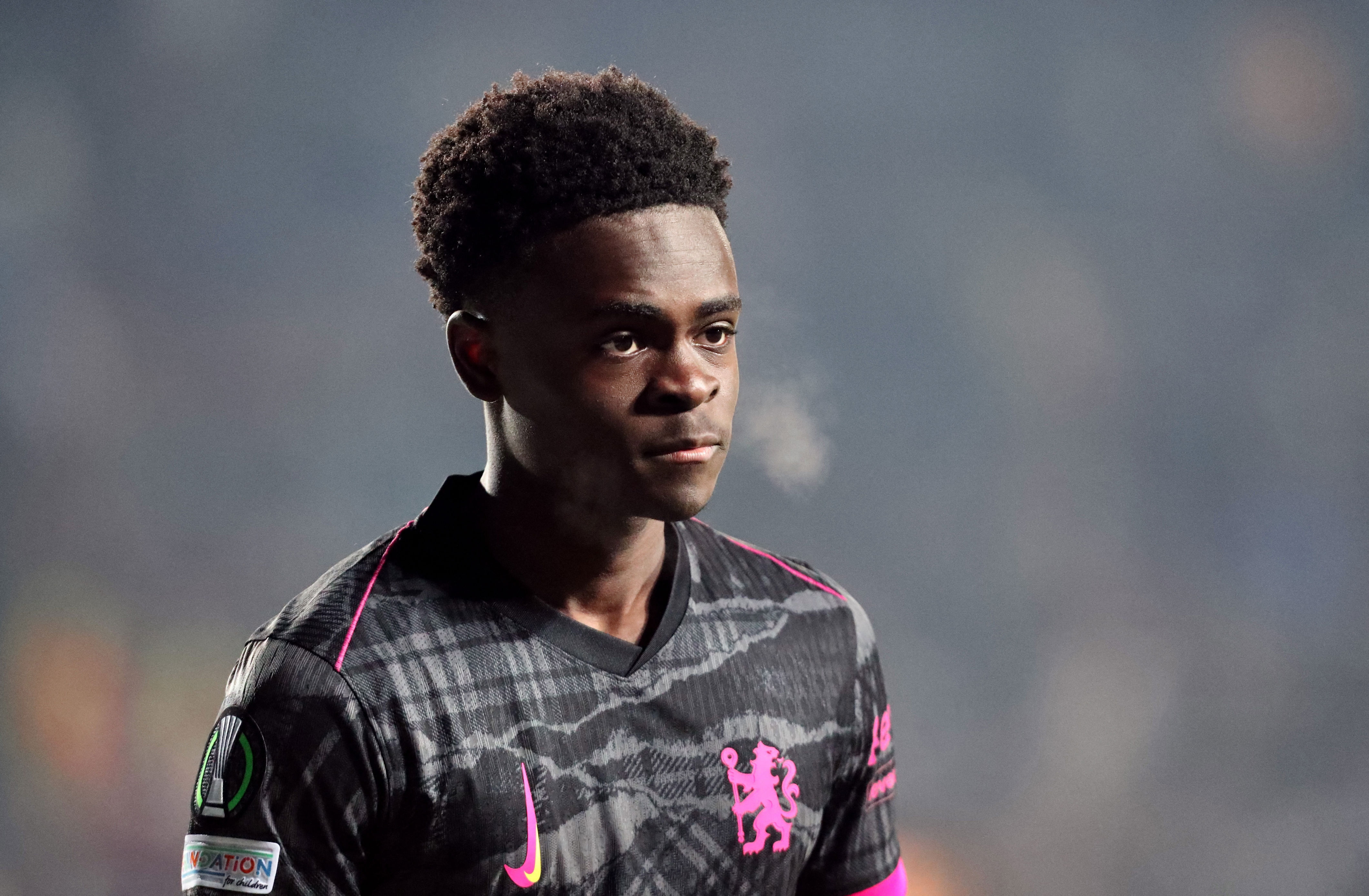 为什么, 没有入选大 为什么, 没有入选大