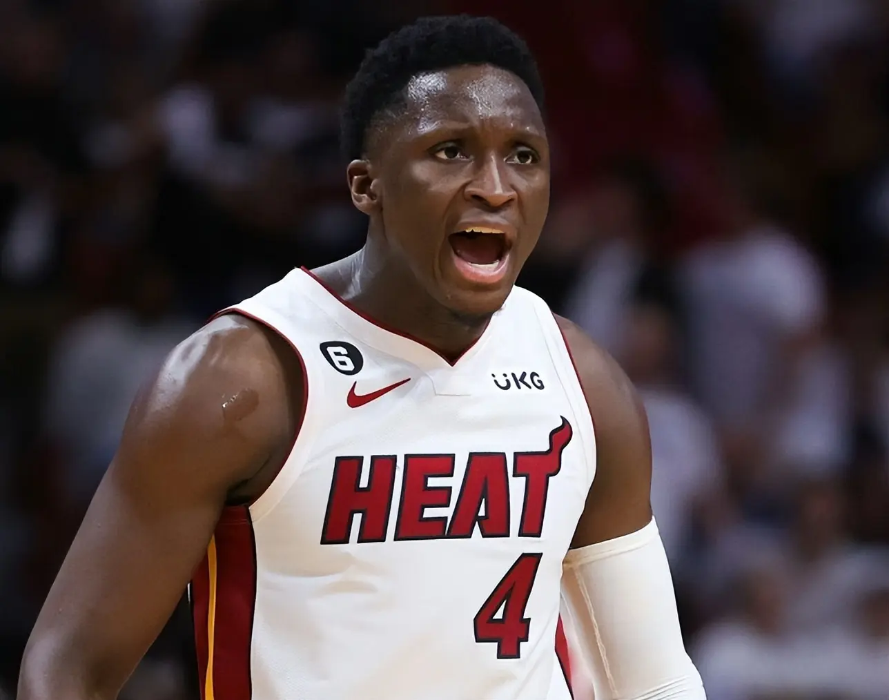 毕竟, 瘦死的骆驼, 跪着也要走 毕竟, 瘦死的骆驼, 跪着也要走