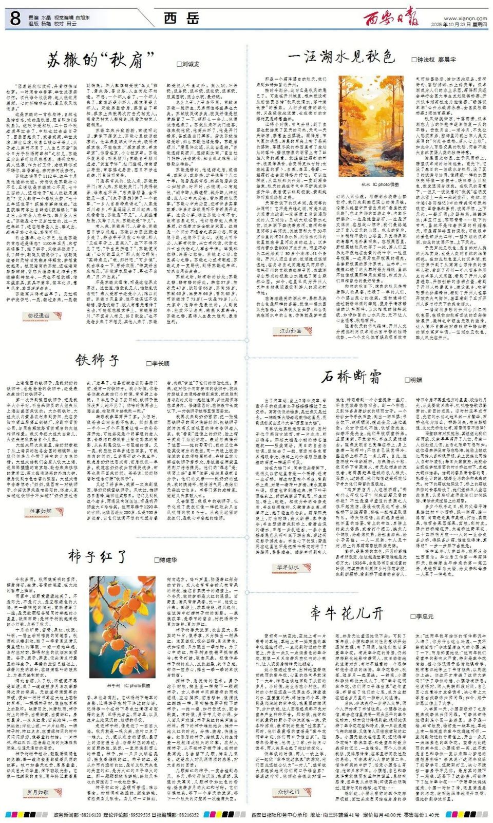 王燕, bt, 中学生赛场